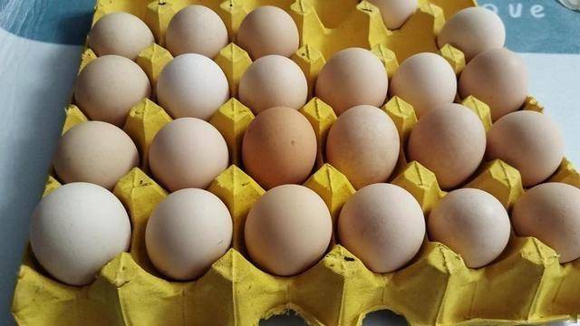 鸡蛋被热议！研究发现：每天吃一个，胆固醇或不高？揭开真相