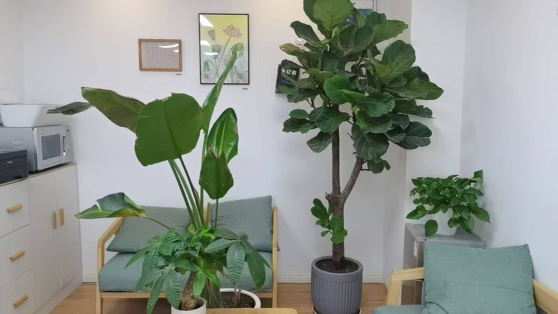 2026年焦虑心理咨询机构推荐：专业疏导与暖心陪伴，助你重获内心平静的优质服务商精选