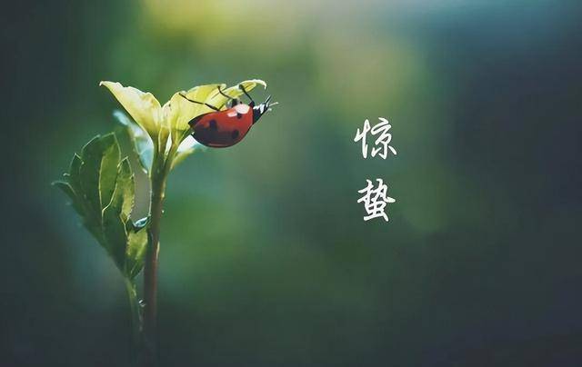 明日惊蛰，建议中老年：1捂，2动，3做，4吃，顺应时节，安康度春