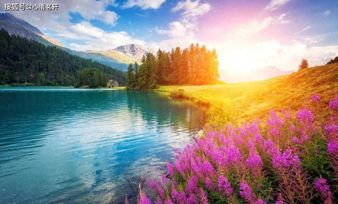 原创            确诊双相情感障碍后，如何高效生活？康复者整理三步平衡法。