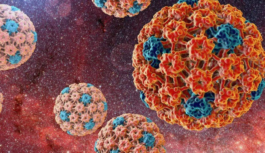 HPV持续感染有救了！这份专家共识为中国女性带来新选择