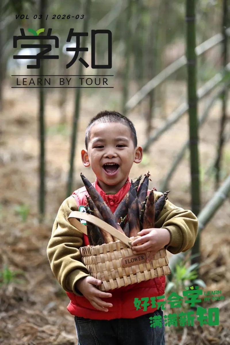 亲子活动上新｜上春山、挖春笋、做非遗竹编、一次解锁4种踏春体验！