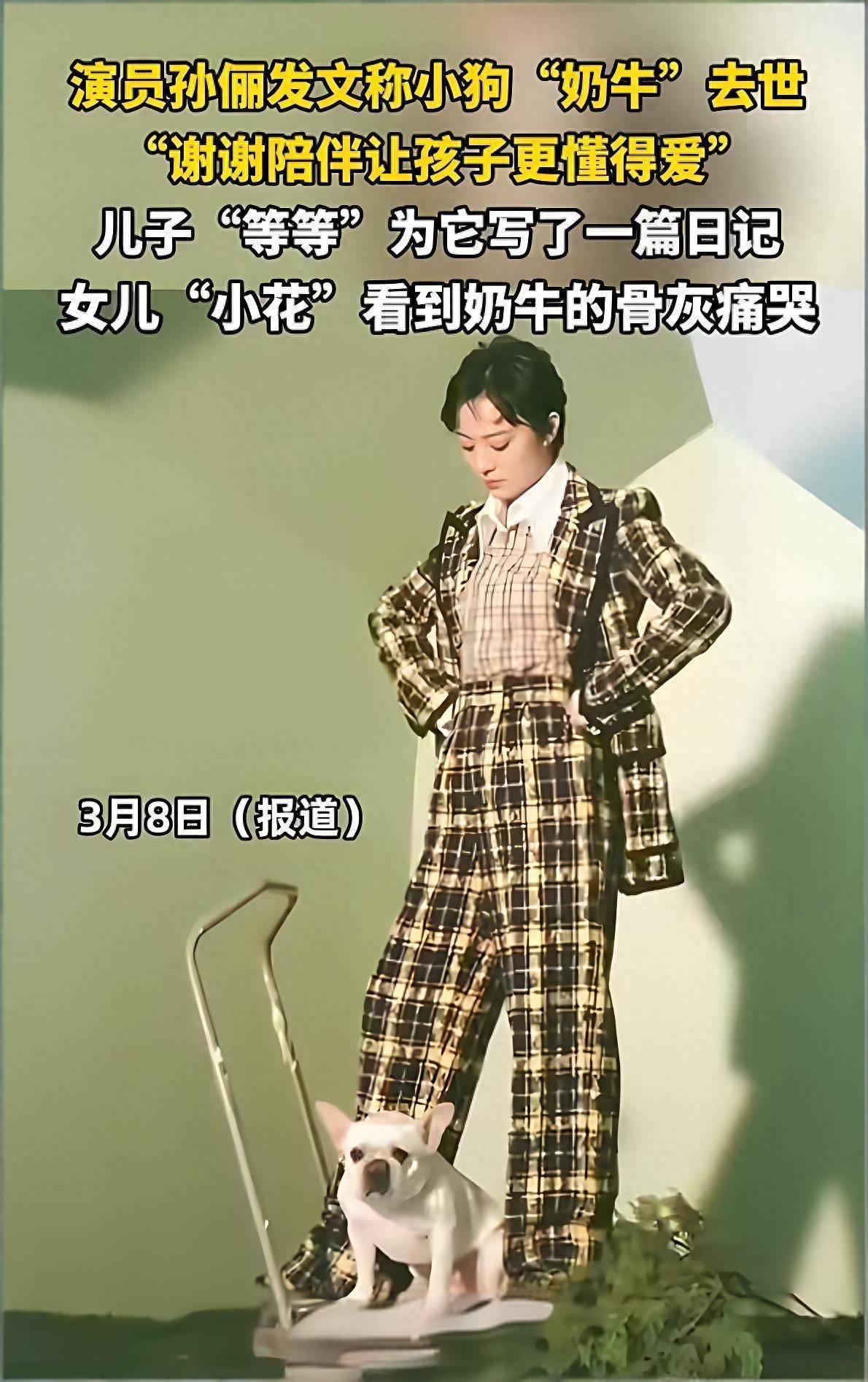 原创            孙俪发文称家里的小狗“奶牛”去世了！网友一边倒地吐槽她