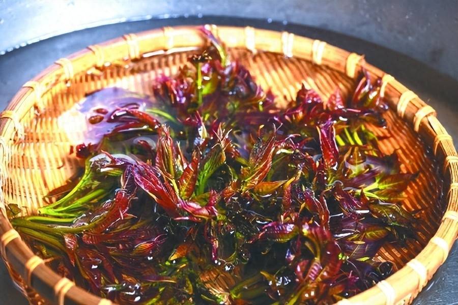 春日野菜成“新宠”，安全食用需注意