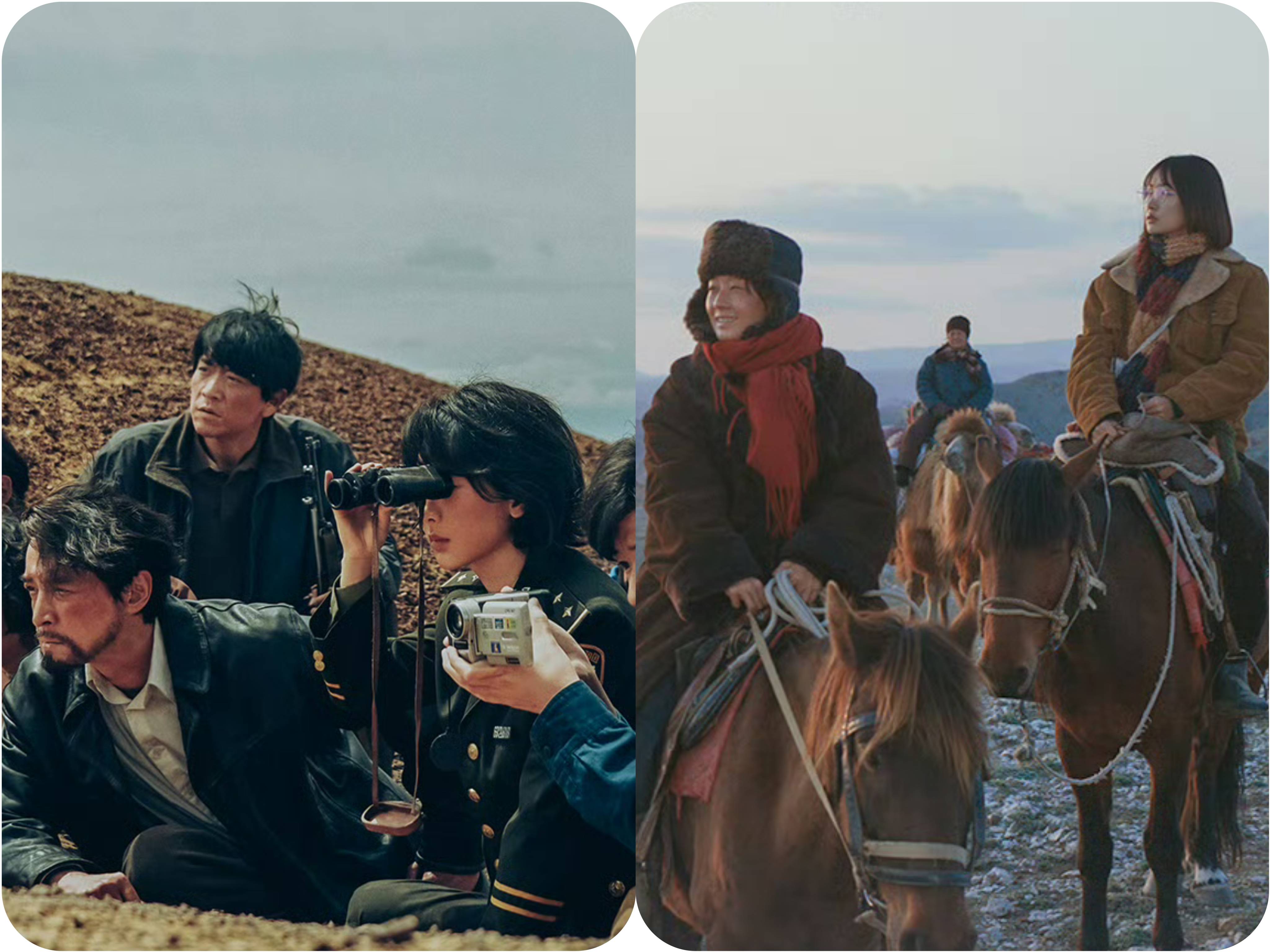 从《我的阿勒泰》到《生命树》：影视剧如何让山河被看见？