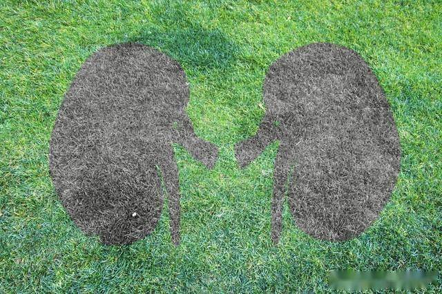 男性勃Q及射J功能障碍同治的2种西药+2种中成药 辨证选用更对症