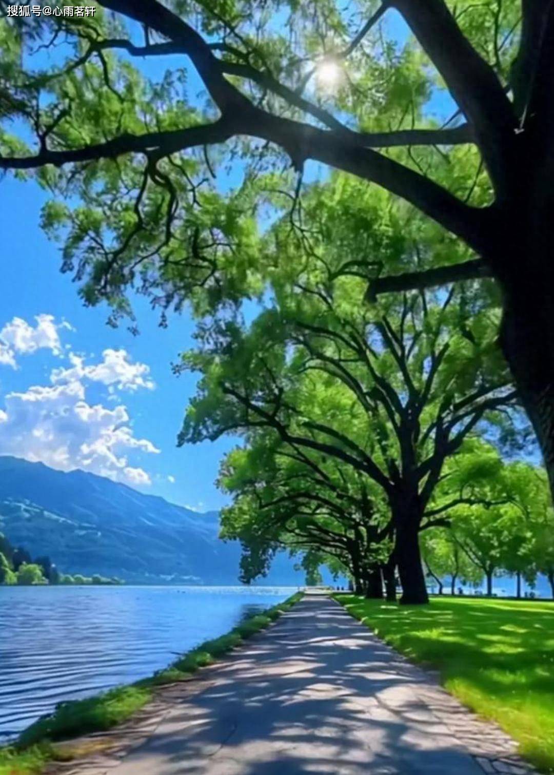 原创            锂盐之外：双相情感障碍药物选择的利弊博弈！