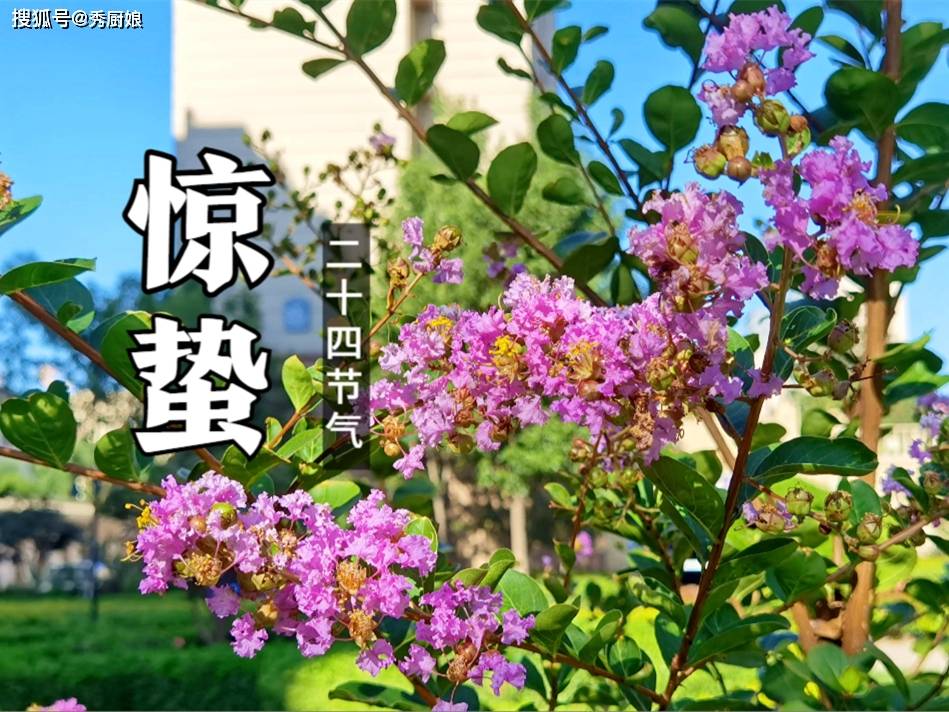 原创            老人说“惊蛰吃3宝，不往医院跑”，指哪“3宝”？ 应季而食，养肝健脾强免疫，全家都受益！