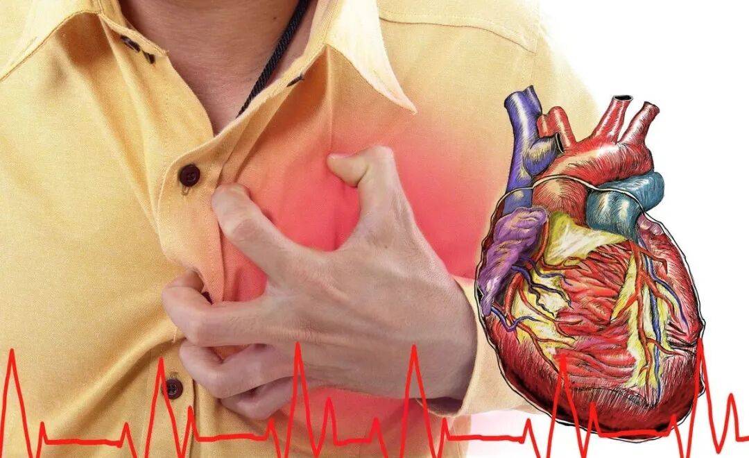 广州附华中医甲状腺揭秘：甲减，心脏的隐匿杀手！