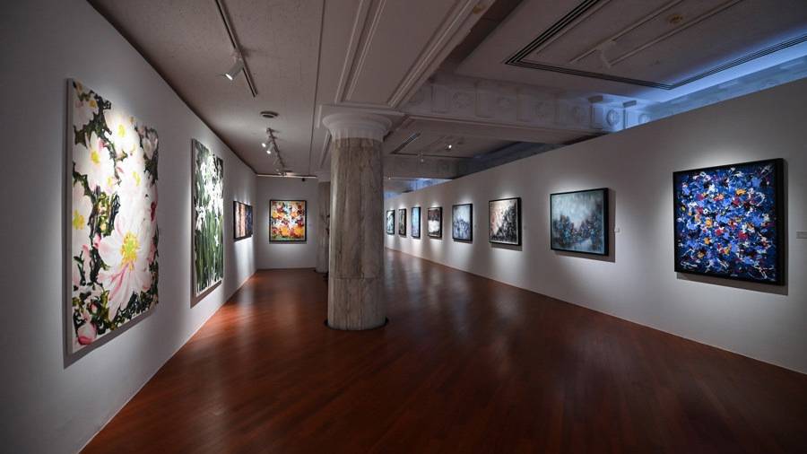 塞纳河畔“鹦鹉”飞抵黄浦江畔，带来跨文化艺术表达