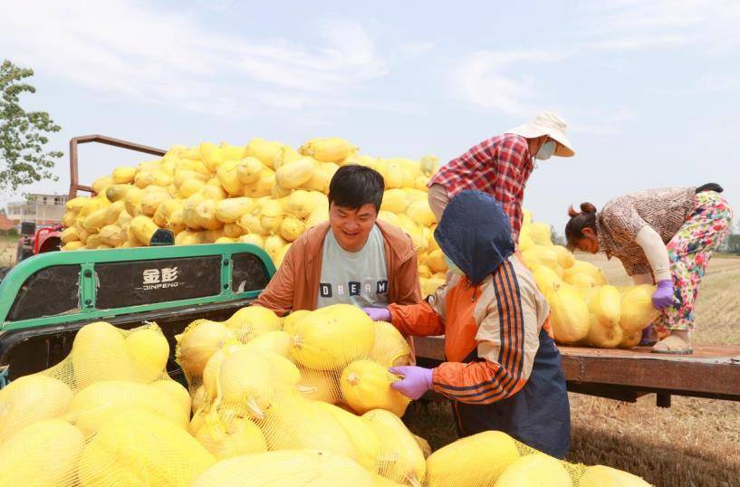 安徽泗县：一颗瓜 一枚蛋 一双鞋 一壶茶