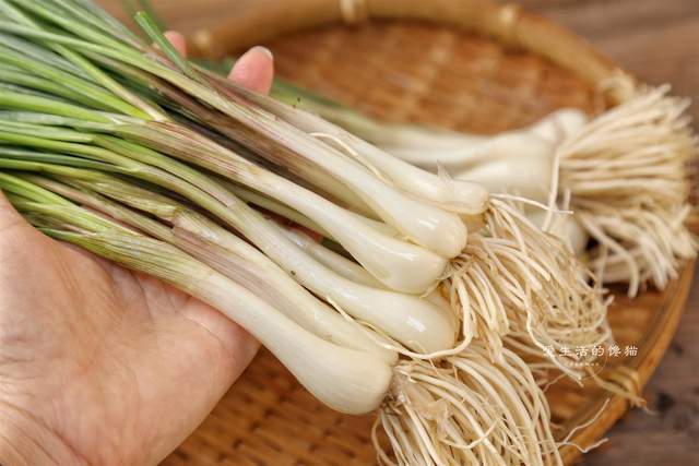 原创            藏在身边的“补钾冠军”是它！隔三岔五吃，提神醒脑，抗菌消炎