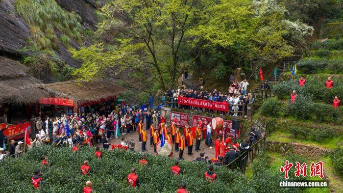 福建武夷山“喊山祭茶”启春茶季