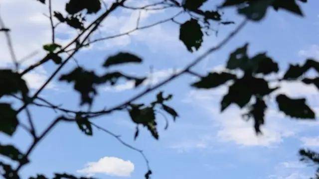 细品茶，慢赏乐，享受独处时光