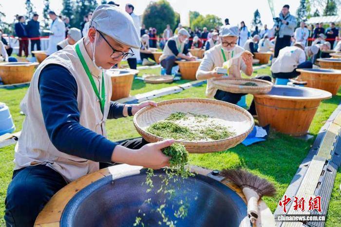 四川洪雅：从“原料茶”到“金叶子” 茶叶成乡村振兴支柱产业