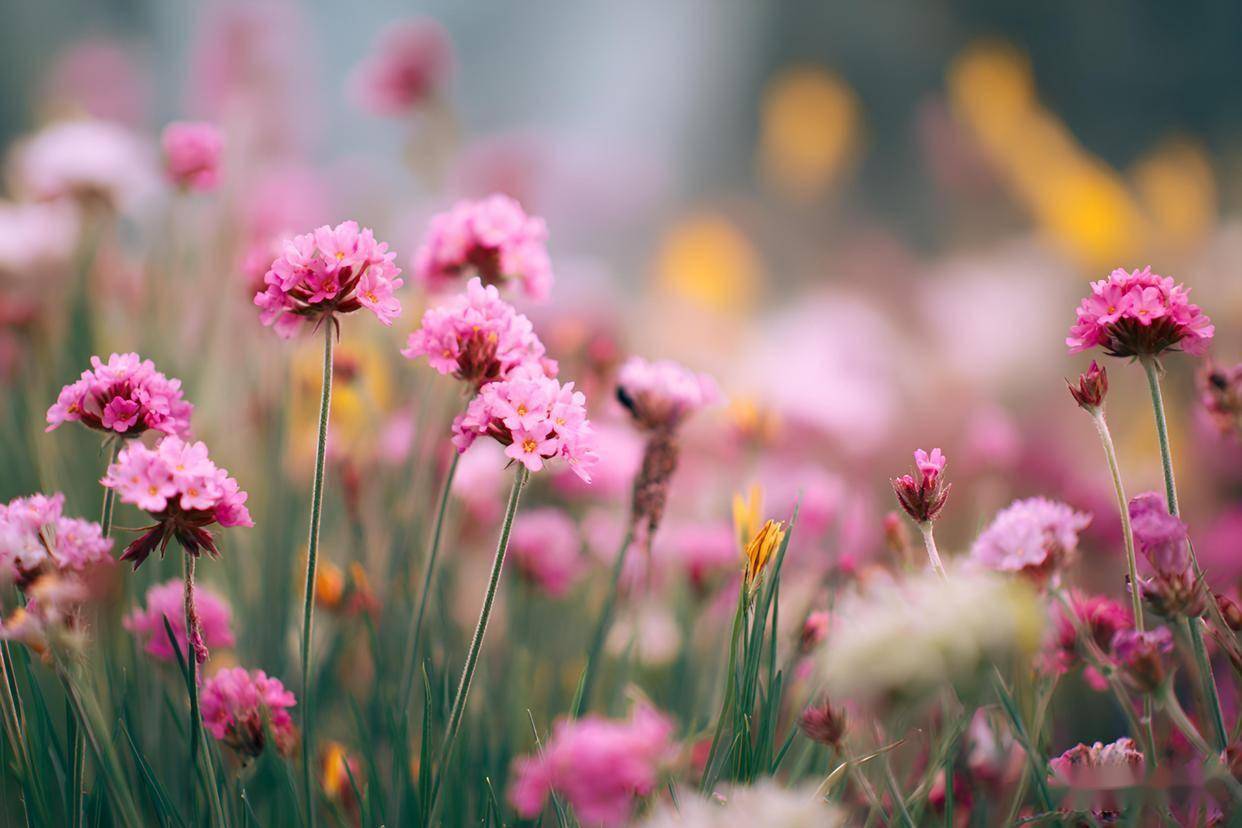 原创            男人做这件事，看起来爱你，其实心里不爱你