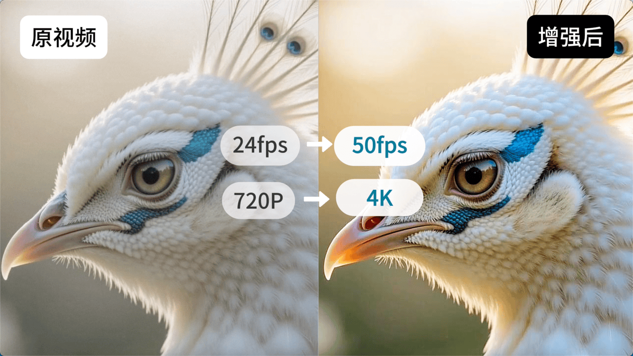 予之文化X火山引擎：AI MediaKit+Seedance 2.0，探索品牌与电商内容工业化新路径