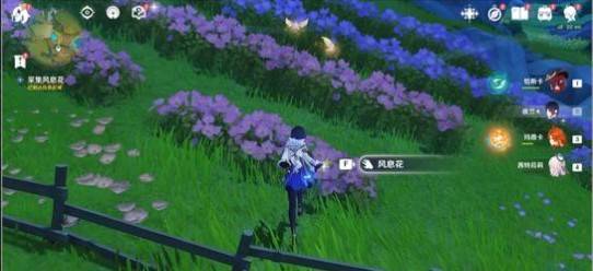 原神月之六山有林猪粗嗅花任务详解