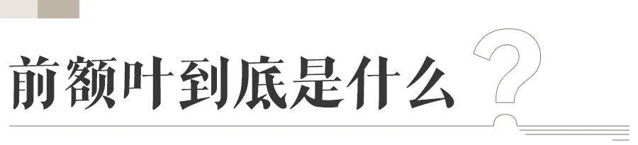 前额叶“养得好”的孩子，真的更聪明吗？