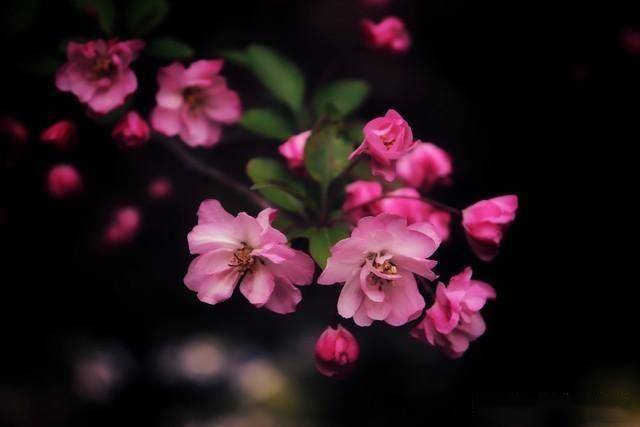 我发现：能瘦下来的中年女人，都有这三个共性