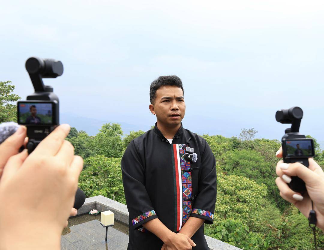 一个山村年旅游收入超两亿 云南“七子饼路”如何将茶区变景区｜一线探访