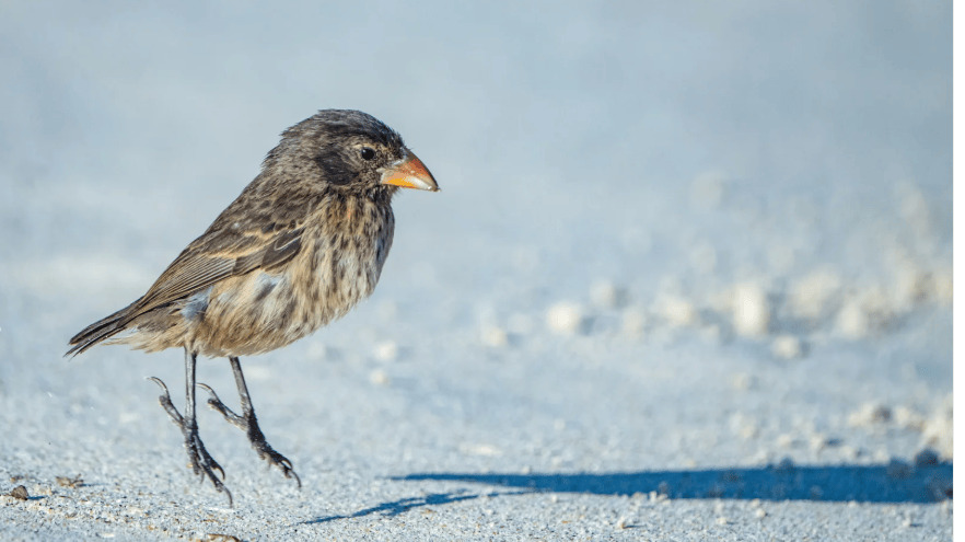 屏幕截图 2026-04-13 184043.png