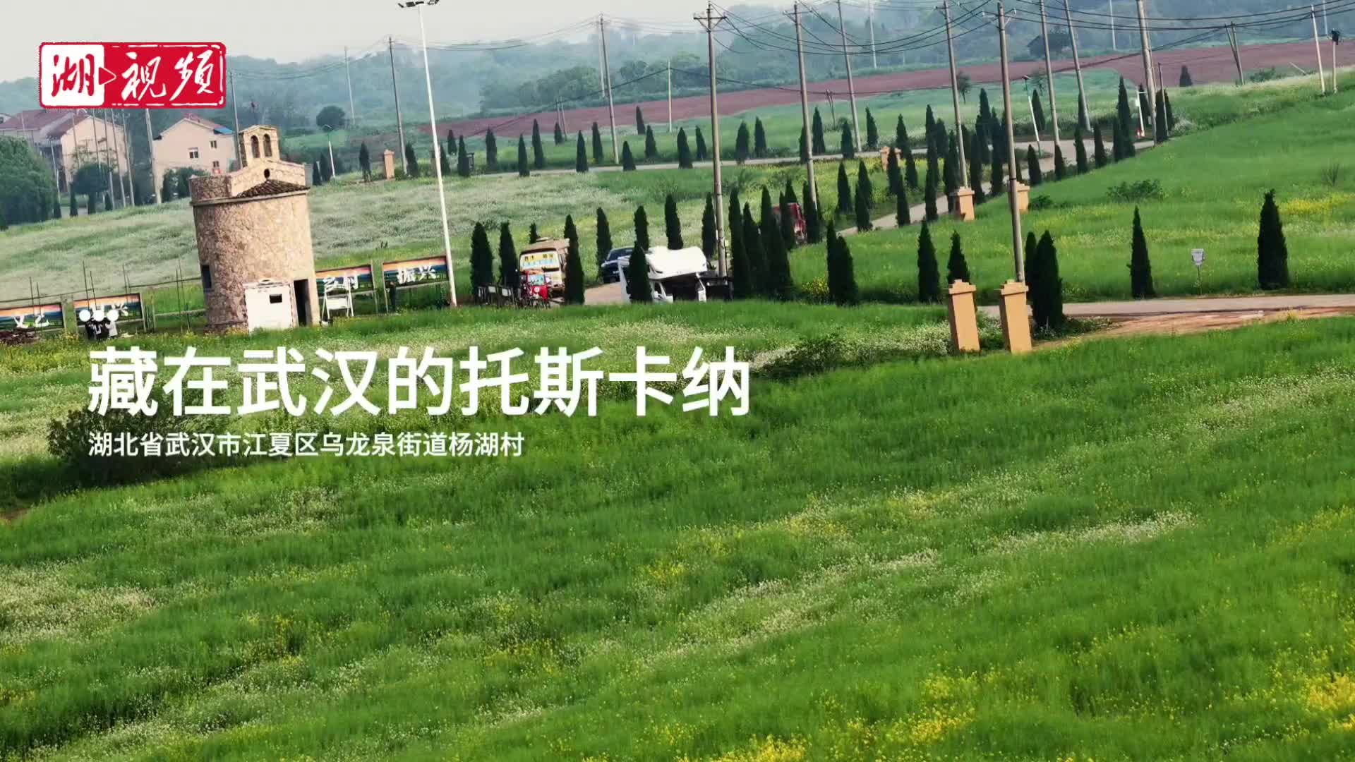 藏在武汉江夏的“托斯卡纳” 绘就乡村振兴新图景