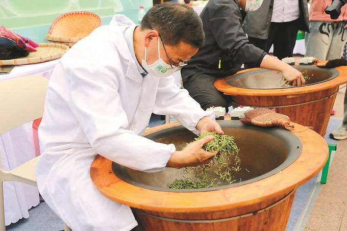 四万嫩芽头 一斤紫雾茶