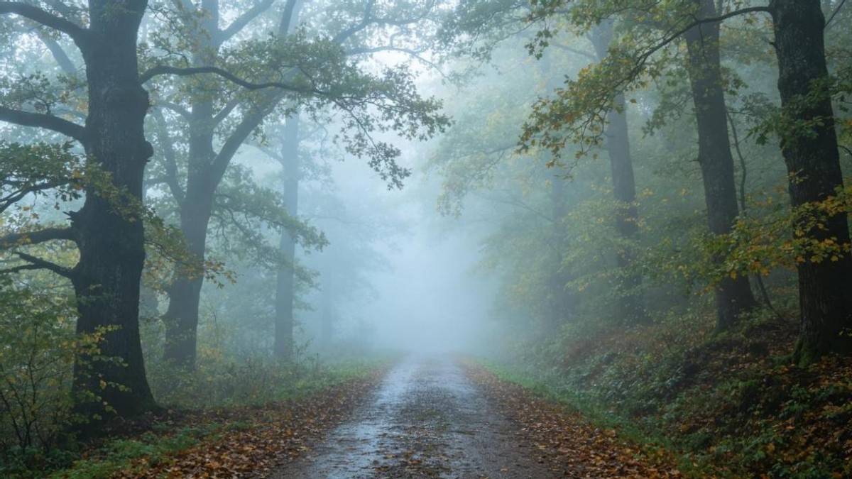 原创            清明后多变天别大意，牢记1不出2不开3不晒4多吃，平安过暮春