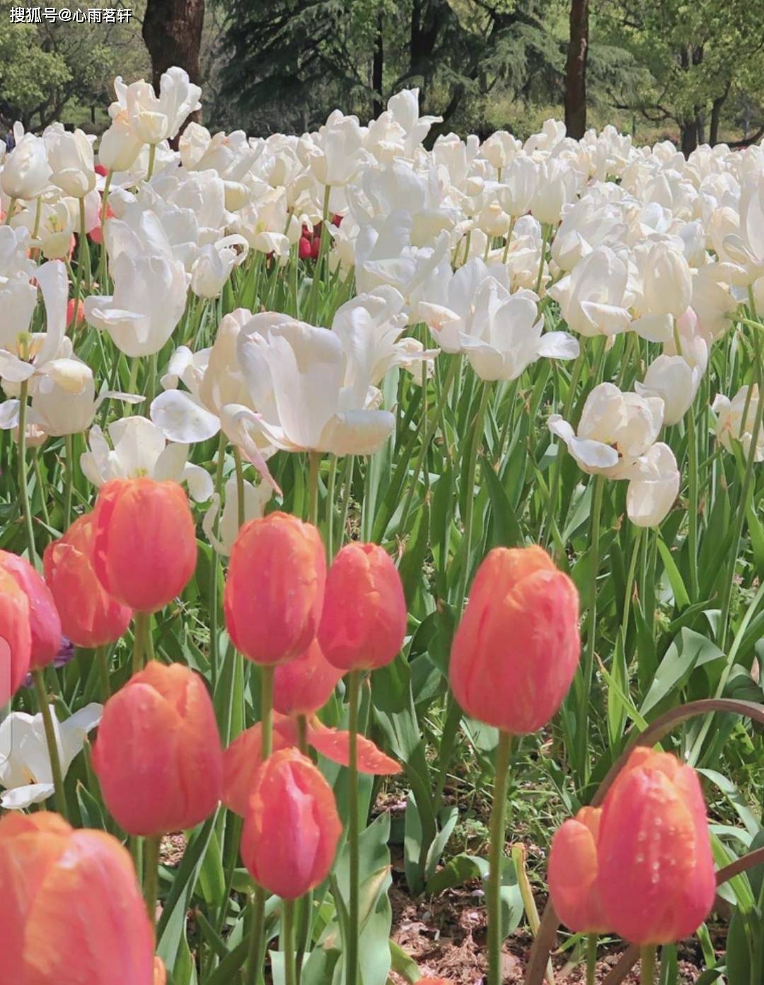 原创            抑郁康复后，我才顿悟！真正厉害的人，都懂得向内求！