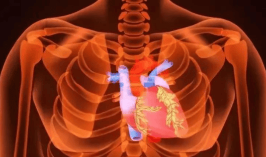 心脏急救——强心三针