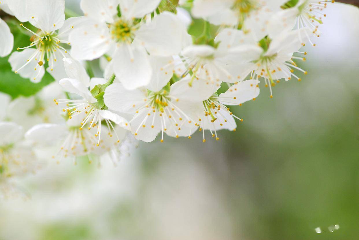 原创            让男人害怕失去你的方法：两个字