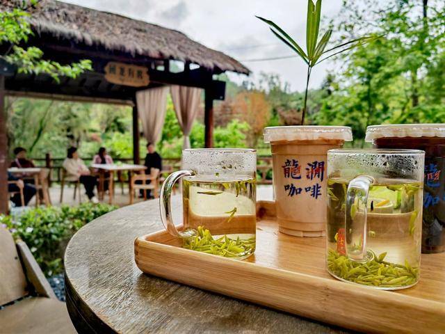 一杯好茶为春日经济“上分”