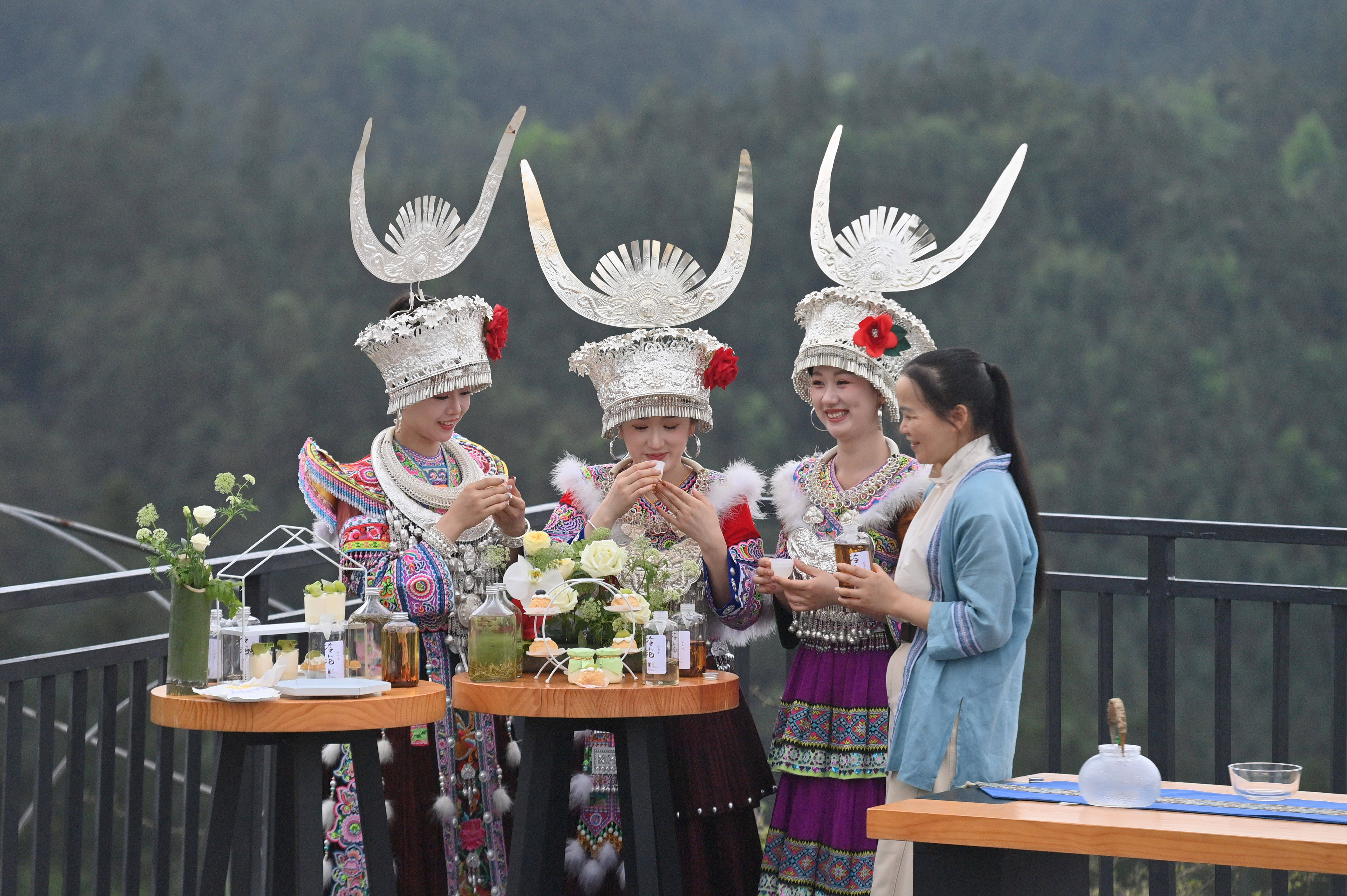 踏青品茶大苗山