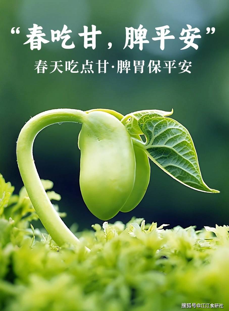 原创            对眼睛特好，谷雨后多吃！一排毒、二健脾胃、三清肝明目，别错过