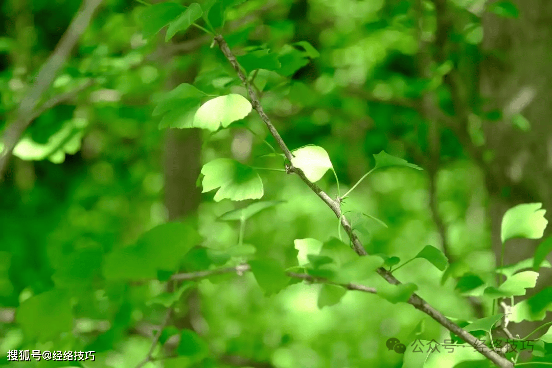 原创            谷雨到立夏这10来天，不仅要留意手脚发麻，也要留心下这5处细微变化！