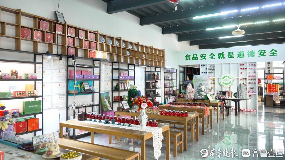 文旅她力量丨张作会：扎根五莲，她把茶山做成风景带乡亲们增收