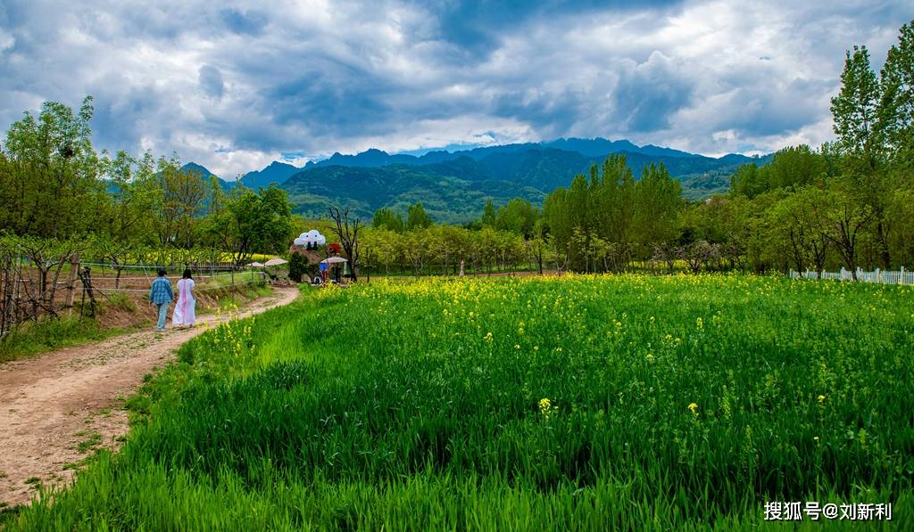 诗润江柳 艺绘长安 —— 春到江柳・诗画长安艺术浪漫启幕