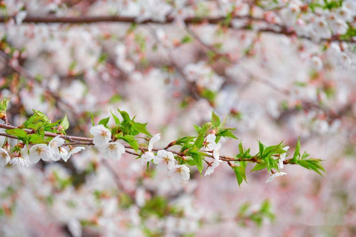 原创            男人和你暧昧，却长期不表白，只能说明一点