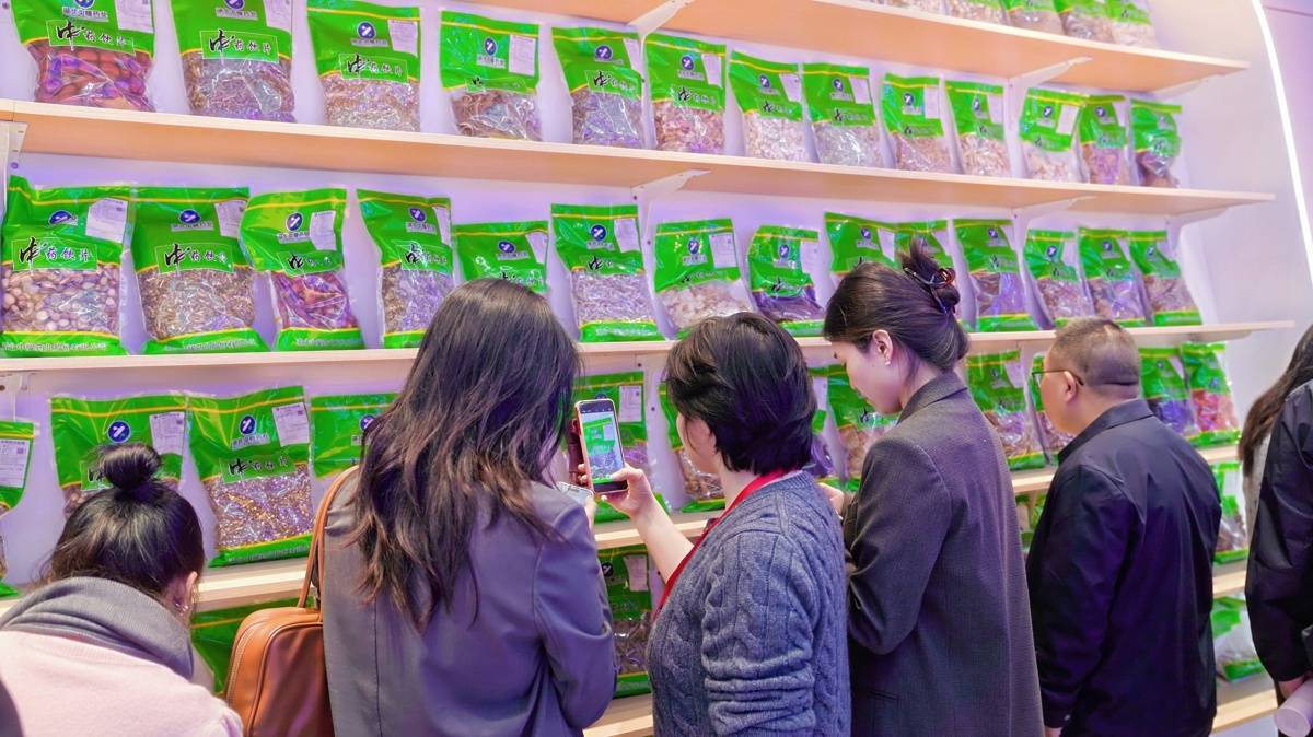 20国客商探企寻合作，恩施茶出海再提速