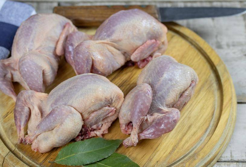 原创            鸽子肉再次引起关注！吃鸽子能解决5类问题，但3条禁忌需避开