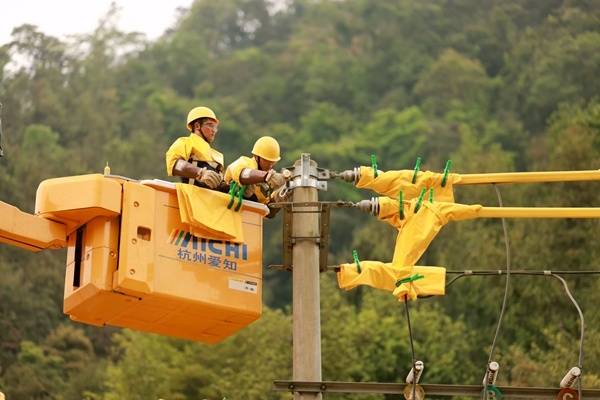钦州浦北供电局双保障服务平睦镇茶产业发展