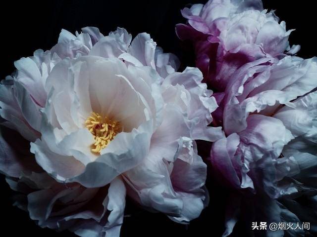 两性关系：男性过了73，不管跟谁处，牢记4句话，余生少心酸