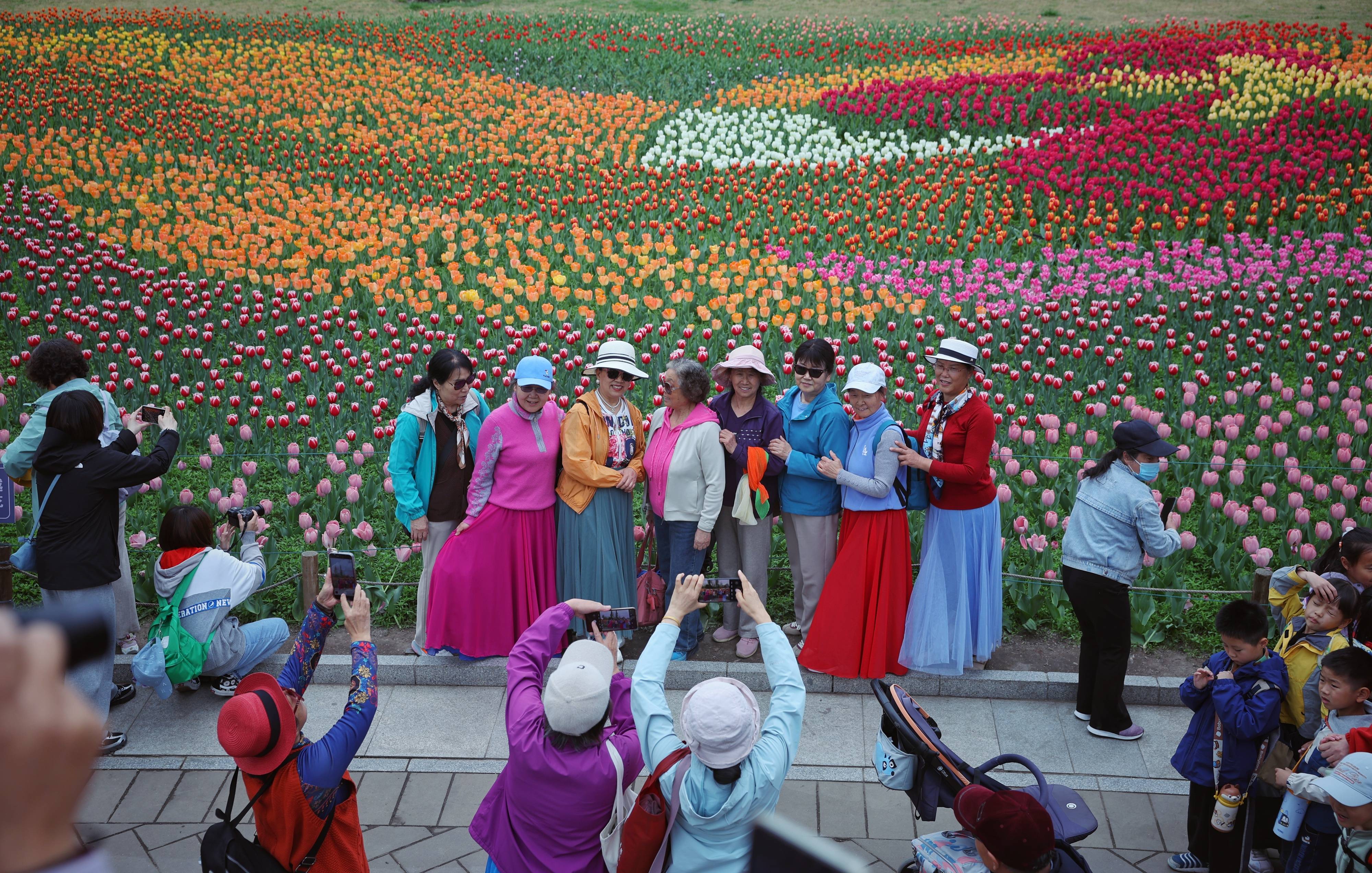 美得像油画，国家植物园郁金香展迎客