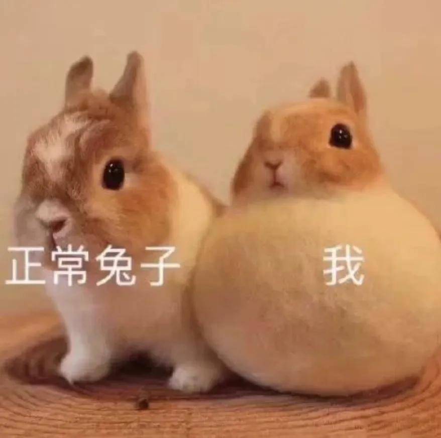 张维伊“汉堡馒头减肥法”火了，医生：靠谱！但是……