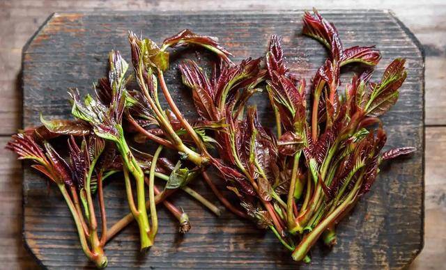 原创            多名医生提醒：吃一口香椿，就或等于进一次毒，真的假的？