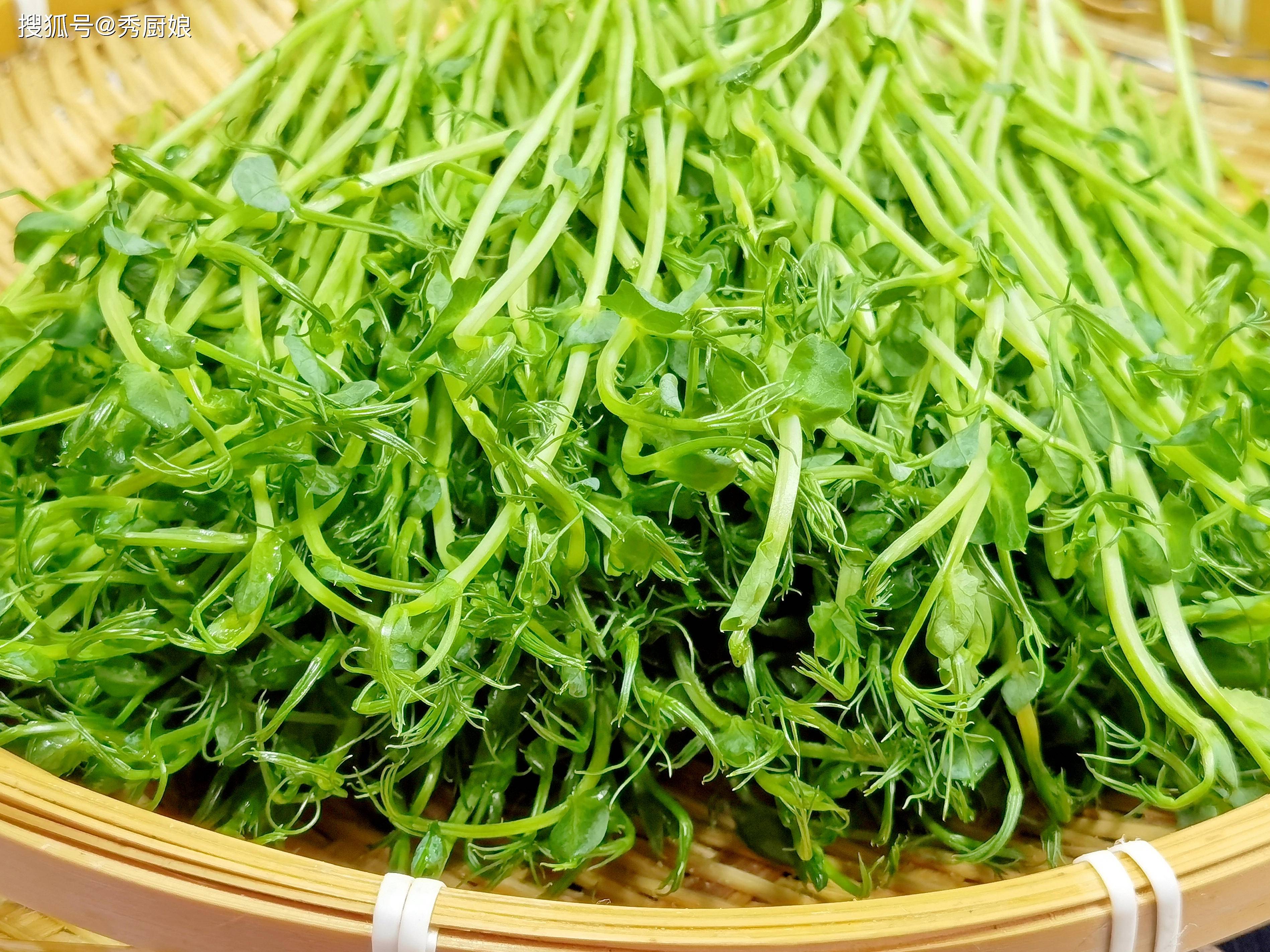 原创            清明过后多排毒，一年都不堵，建议：多吃这4样菜，精力充沛身体好，安康入夏