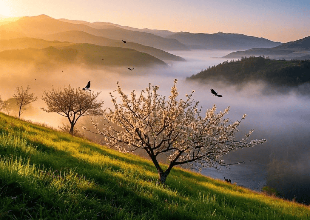 理智是人生智慧拐杖