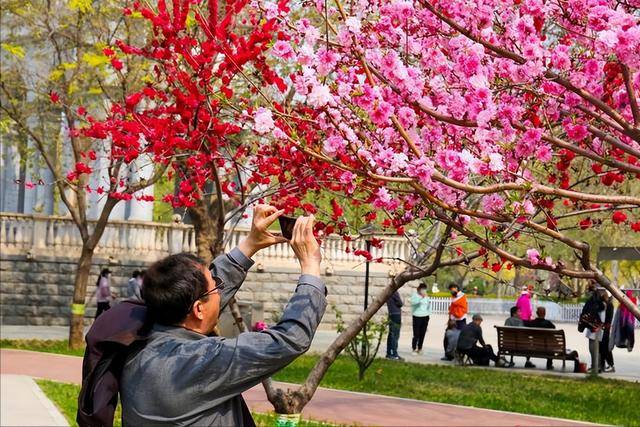 原创            红薯是肠道的清洁工！医生提醒：清明后，养护肠道牢记“4不要”