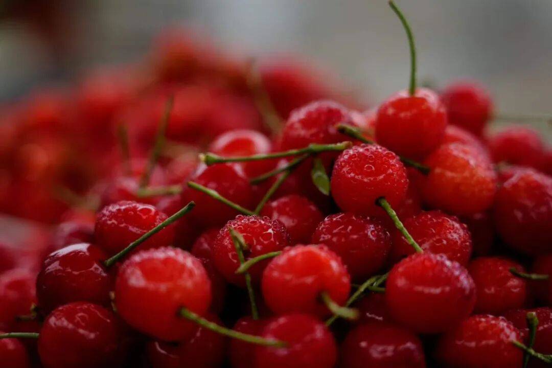 乌蒙深处藏甜境｜九洞天三万亩玛瑙红樱桃熟透，赏溶洞品鲜果